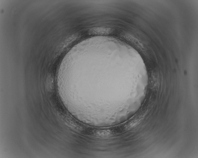 X0000077280355200611031531