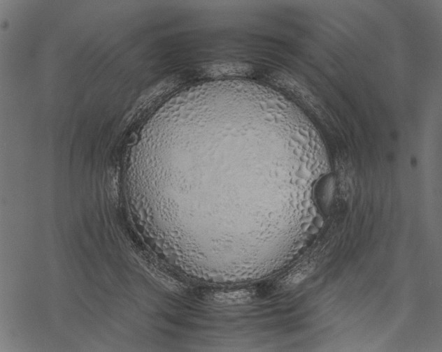 X0000077280357200611031531