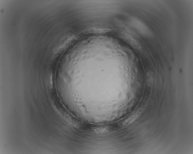 X0000077280358200611031531