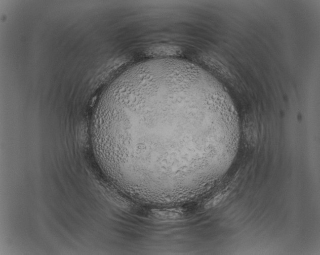 X0000077280359200611031531