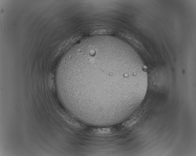 X0000077280361200611031531