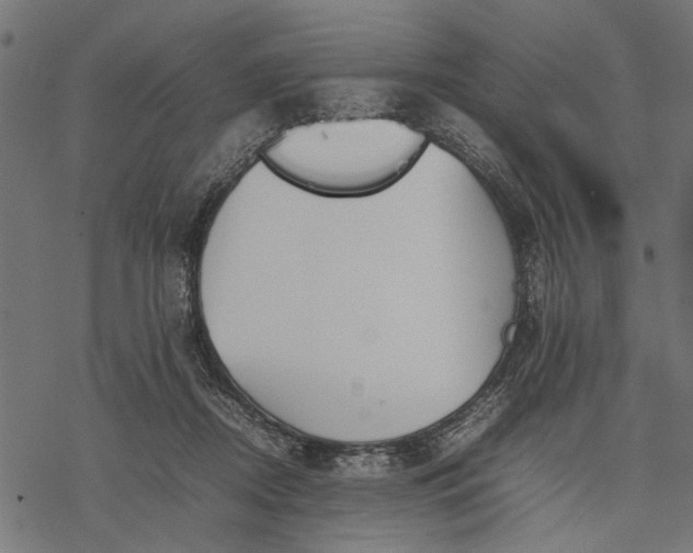 X0000077280362200611031531