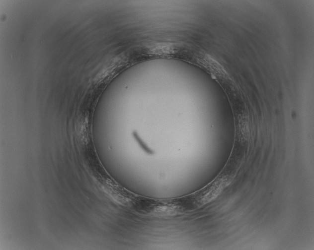 X0000077280364200611031531