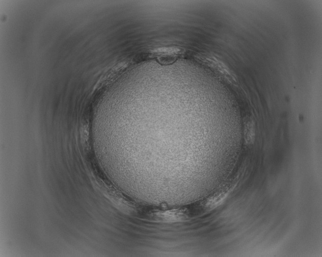 X0000077280365200611031531