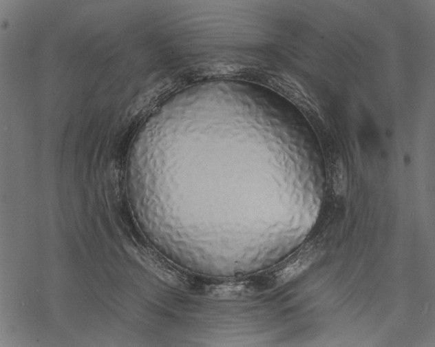 X0000077280366200611031531