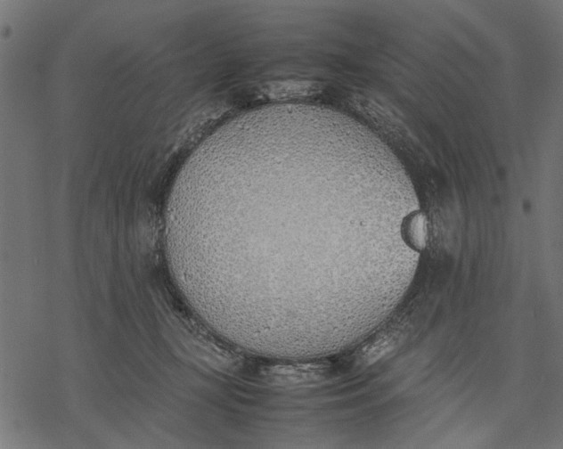 X0000077280367200611031531