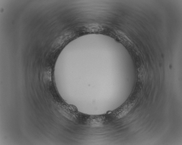 X0000077280368200611031531