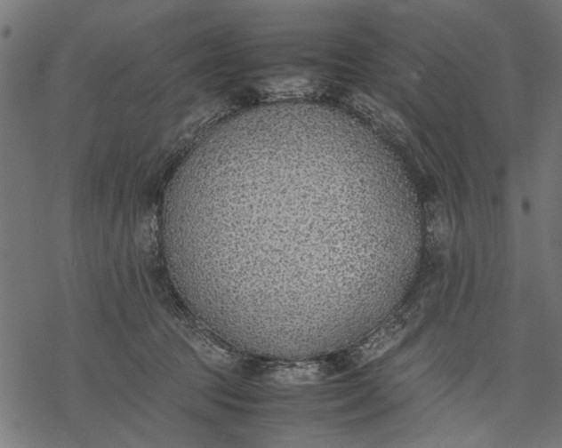 X0000077280369200611031531