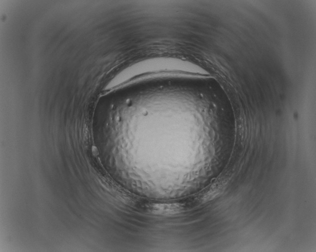 X0000077280371200611031531