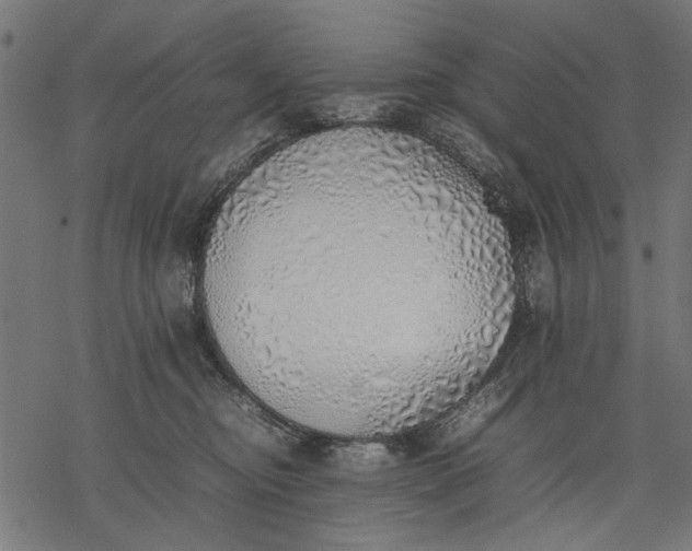 X0000077280374200611031531