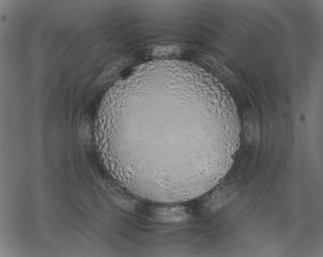 X0000077280375200611031531