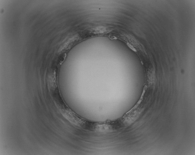 X0000077280376200611031531