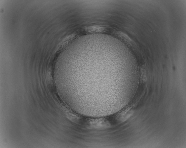 X0000077280377200611031531