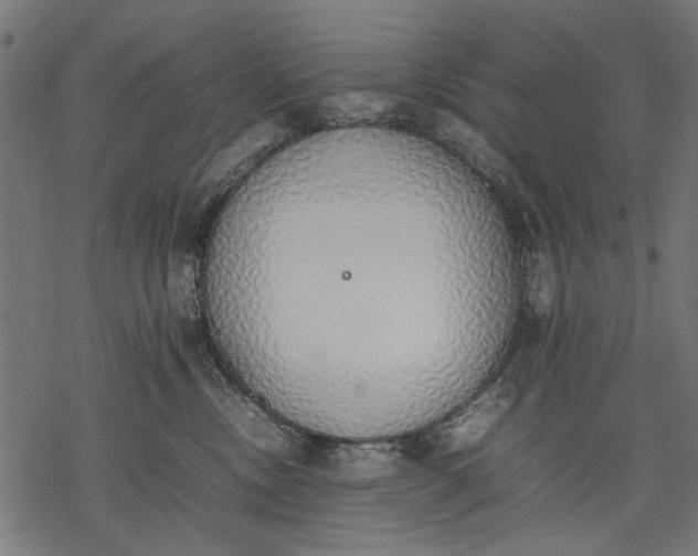 X0000077280378200611031531