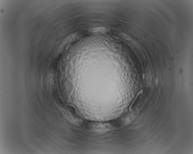 X0000077280379200611031531