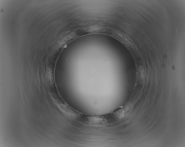 X0000077280380200611031531