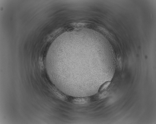 X0000077280381200611031531