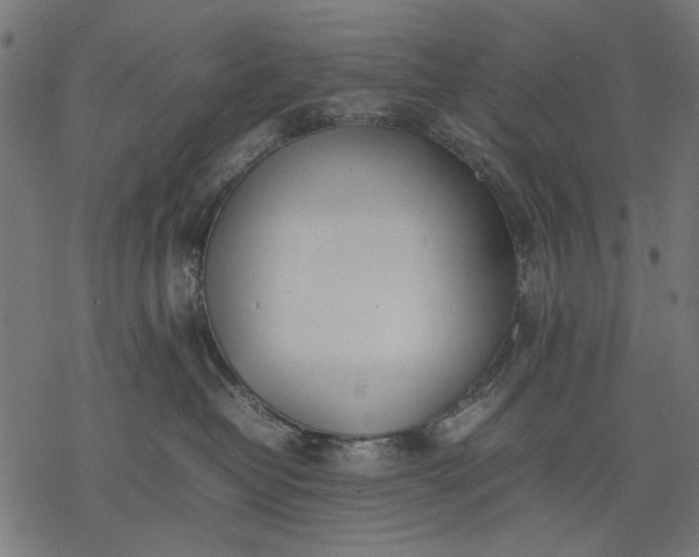 X0000077280382200611031531