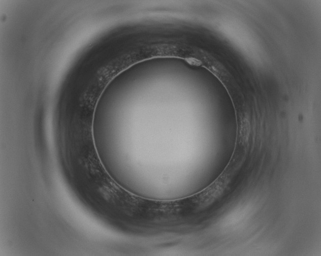 X0000077280383200611031531