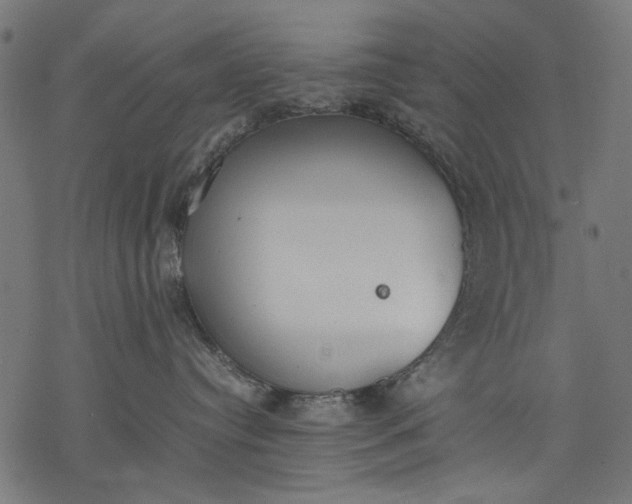 X0000077280384200611031531