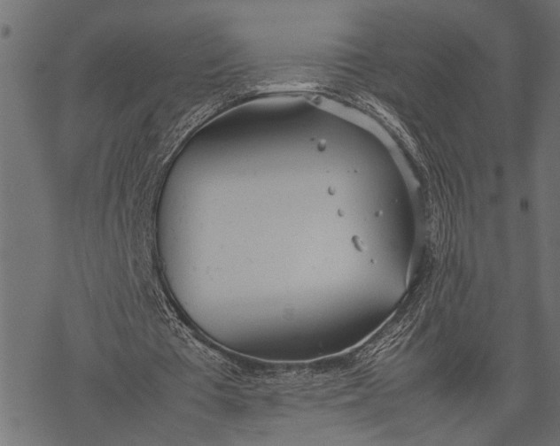 X0000077280385200611031531