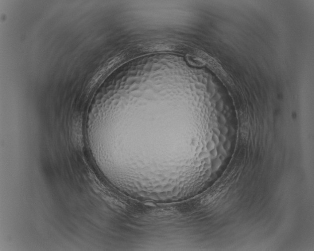 X0000077280386200611031531