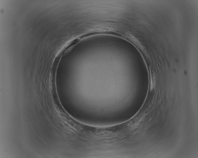 X0000077280387200611031531