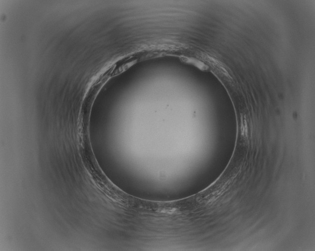 X0000077280388200611031530