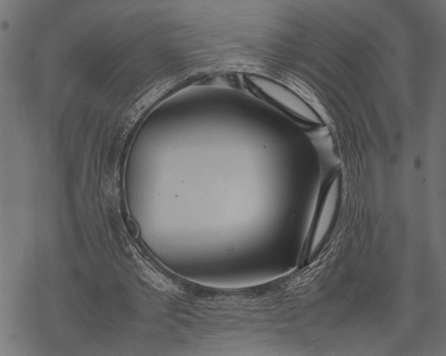 X0000077280389200611031530