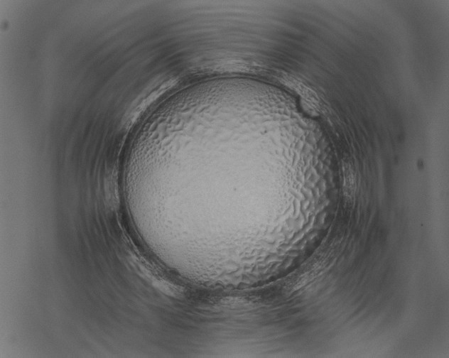 X0000077280390200611031530