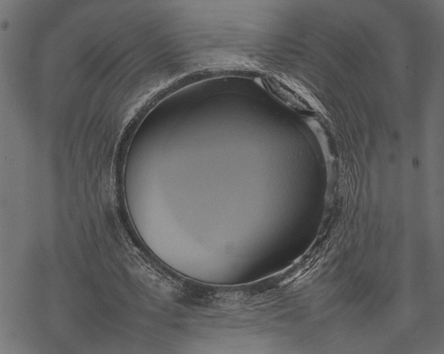 X0000077280391200611031530