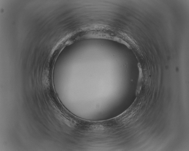 X0000077280392200611031530