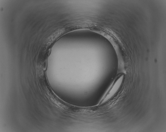 X0000077280393200611031530