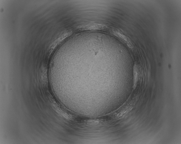 X0000077280394200611031530