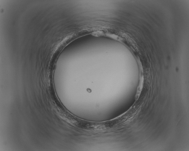 X0000077280395200611031530