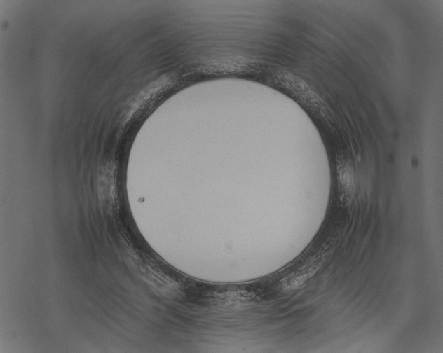 X0000077280396200611031530