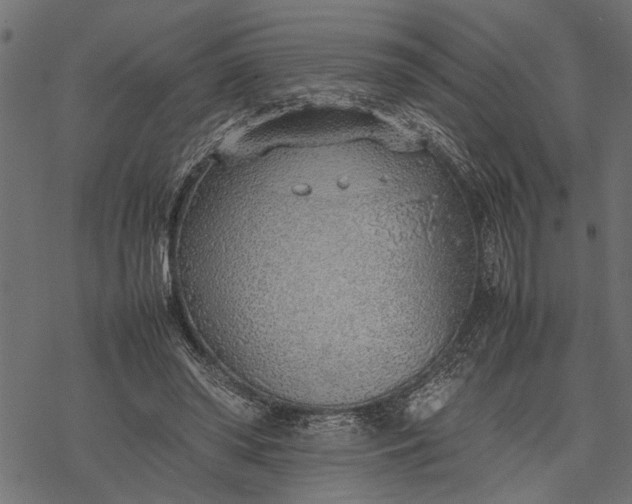 X0000077280398200611031530