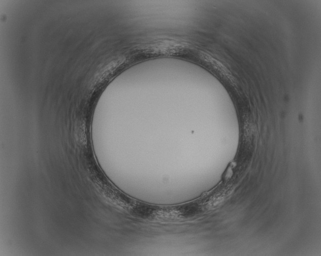 X0000077280403200611031530