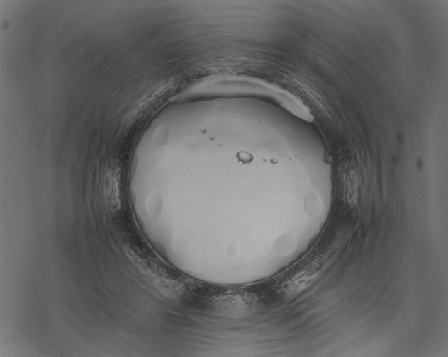 X0000077280404200611031530