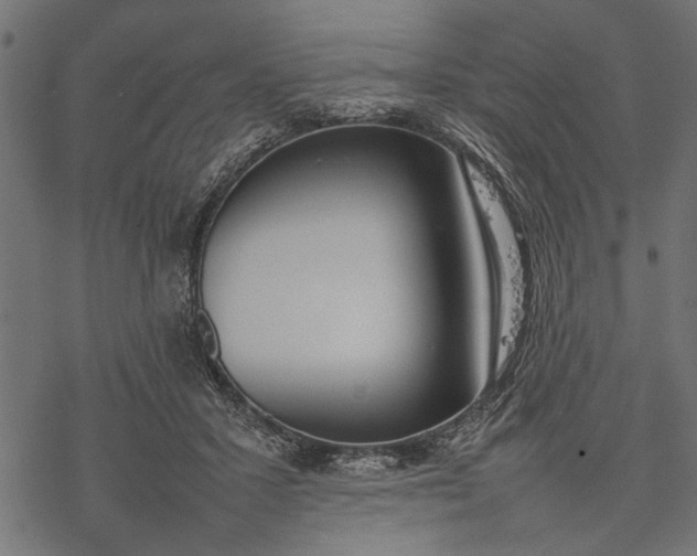 X0000077280407200611031530