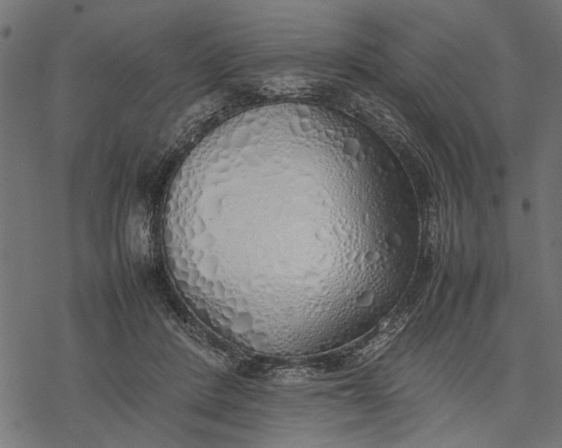 X0000077280408200611031530