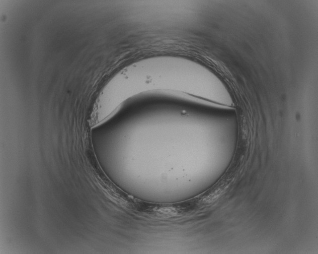 X0000077280409200611031530