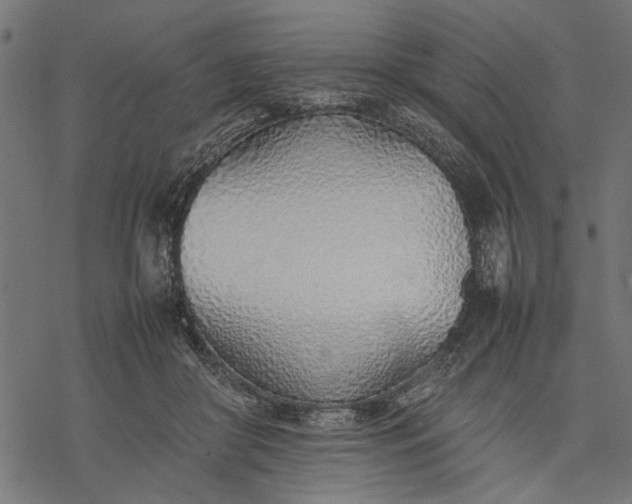 X0000077280410200611031530