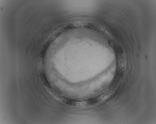 X0000077280411200611031530