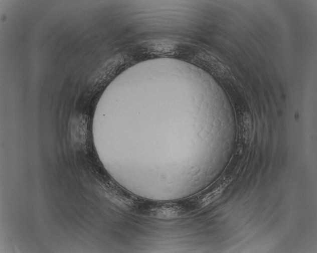 X0000077280412200611031530