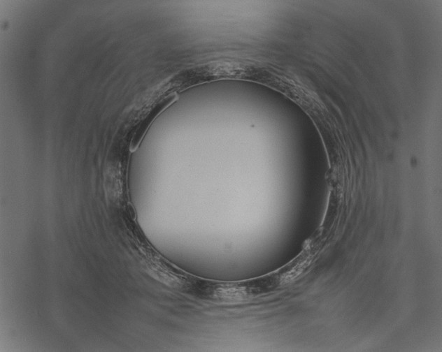 X0000077280413200611031530