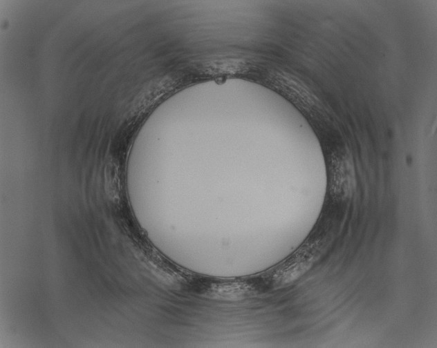 X0000077280414200611031530