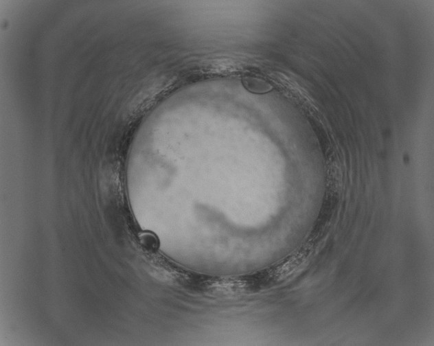 X0000077280415200611031530