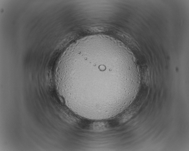 X0000077280418200611031530