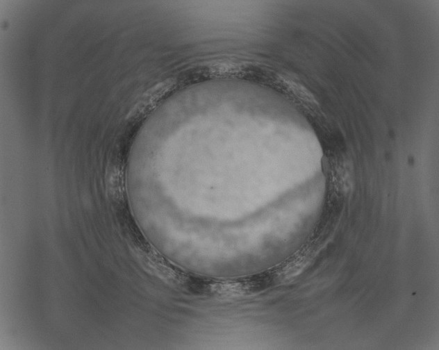 X0000077280419200611031530